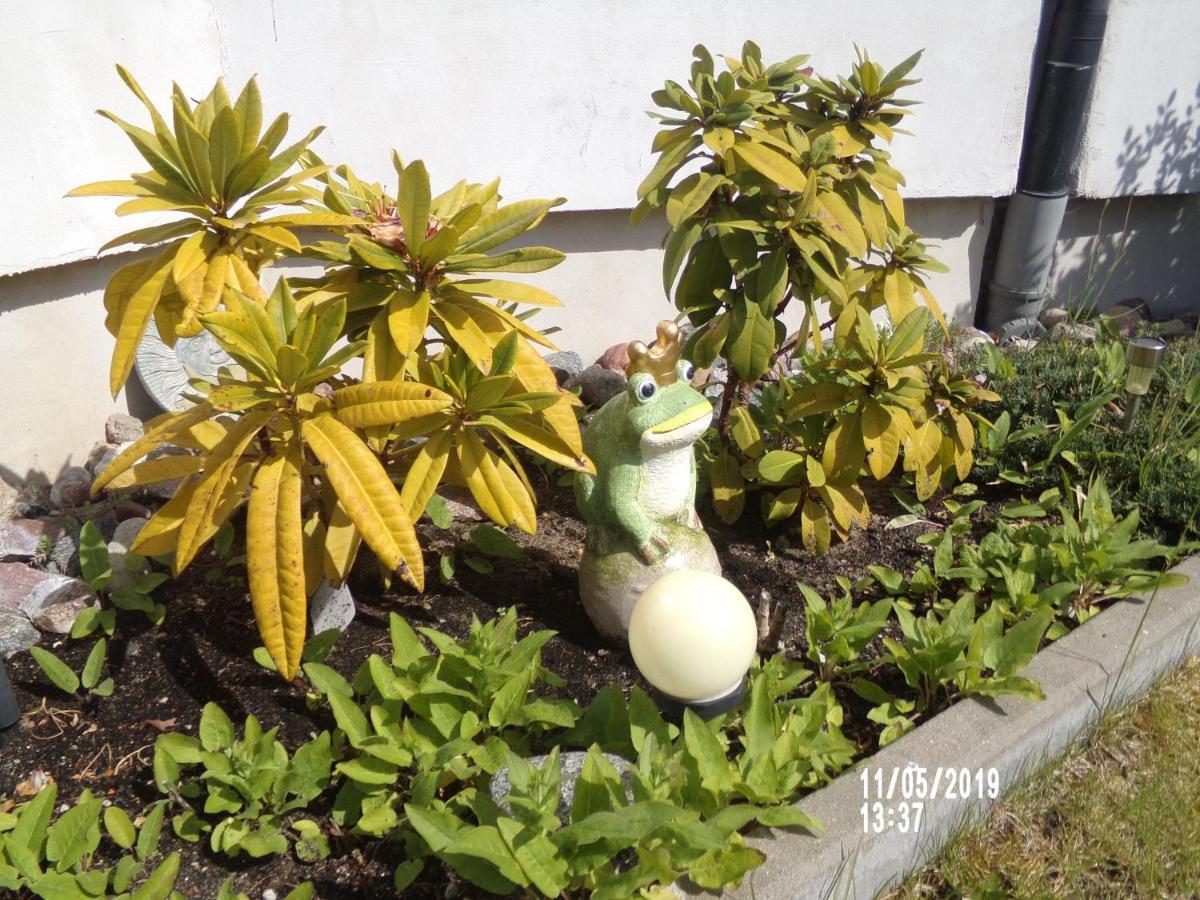 Iwona Homestay